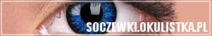 soczewki kolorowe eleganckie i nie drogie, jednodniowe szkła kontaktowe eleganckie, dla każdego ekskluzywne prezenty online, sklep z prezentami luksusowymi marki