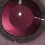 lexummedica-icl-zdj-6