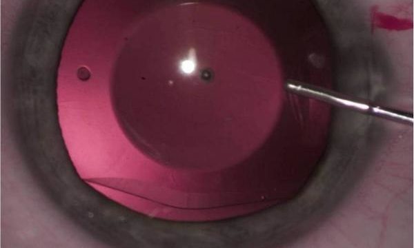lexummedica-icl-zdj-6